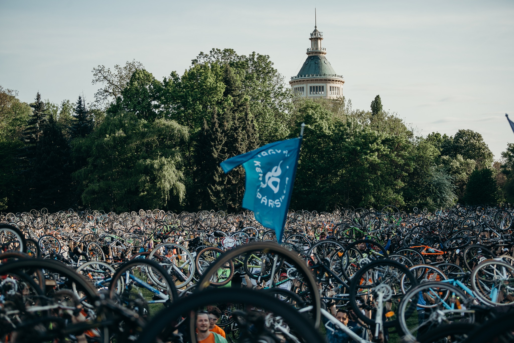 Ezeken dolgoztunk 2025-ben - Támogass minket adód 1%-ával!